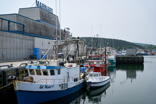 Eau,Marina,Été,Saison,MRC Côte-de-Gaspé,Région,Rivière-au-Renard,Jour,Temps